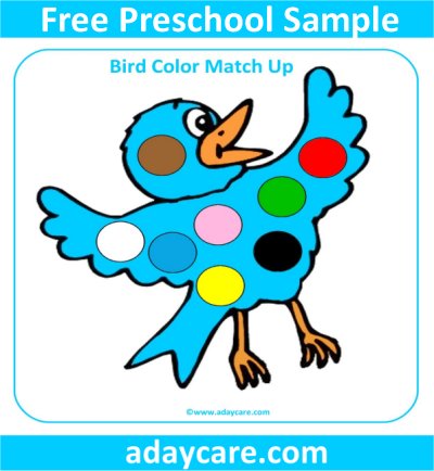 Bird color match up activity