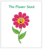 Flower Seed Story for preschool kids