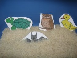 Find the forest animals in the sand table