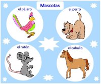 Pets – learn Spanish