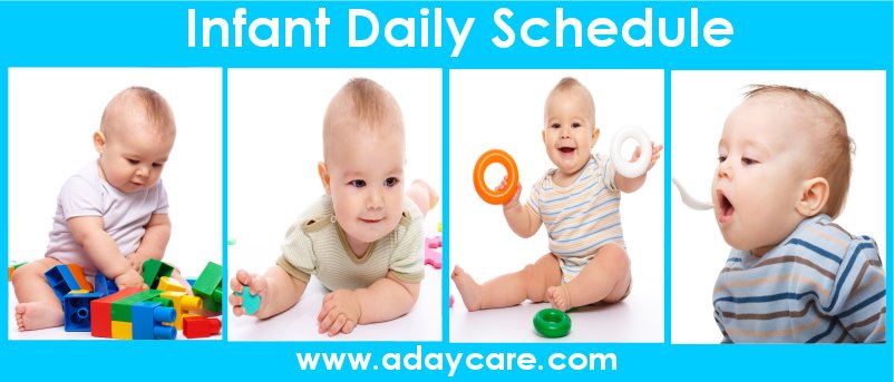 Infant Daily Schedule