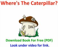 Where’s The Caterpillar Story
