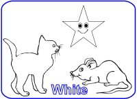 Toddler Color Display – Color white