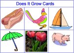  Does It Grow Cards
