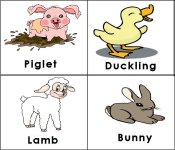 Farm Animals (babies)