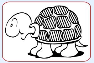 Printable Black & White Turtle Picture For Baby To Focus On