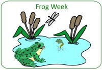 Preschool Frog Theme Poster