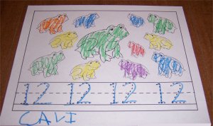 12 Frogs Color & Trace Number