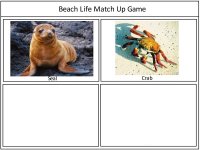 Beach Card Match Up
