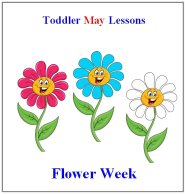 Toddler Lesson Plans for May – Week 3 – Bugs Theme