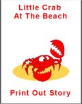 Little Crab At The Beach story