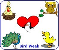 Toddler August Week 1 Poster for bird week theme 