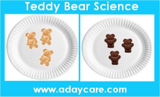 teddy bear theme preschool science