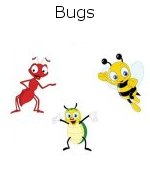 Bugs