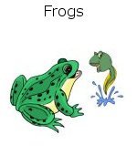 Frogs