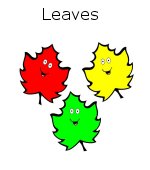 Leaves