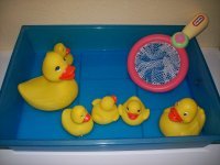 Catch the ducks in the water, Sensory Activity for toddlers ages 18 months to 2.5 years