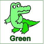 Toddler Color Display – Color Green – Green Alligator