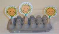 Sunflower Number Activity