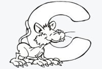 Letter C  Cat Coloring Page