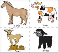 Preschool Farm Animal Theme, Curriculum, Lesson Plans, Pre-k Farm Animal  Unit
